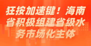 狂按加速鍵！海南省積極組建省級水務市場化主體